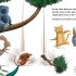 Monkey's Tail - Story Book