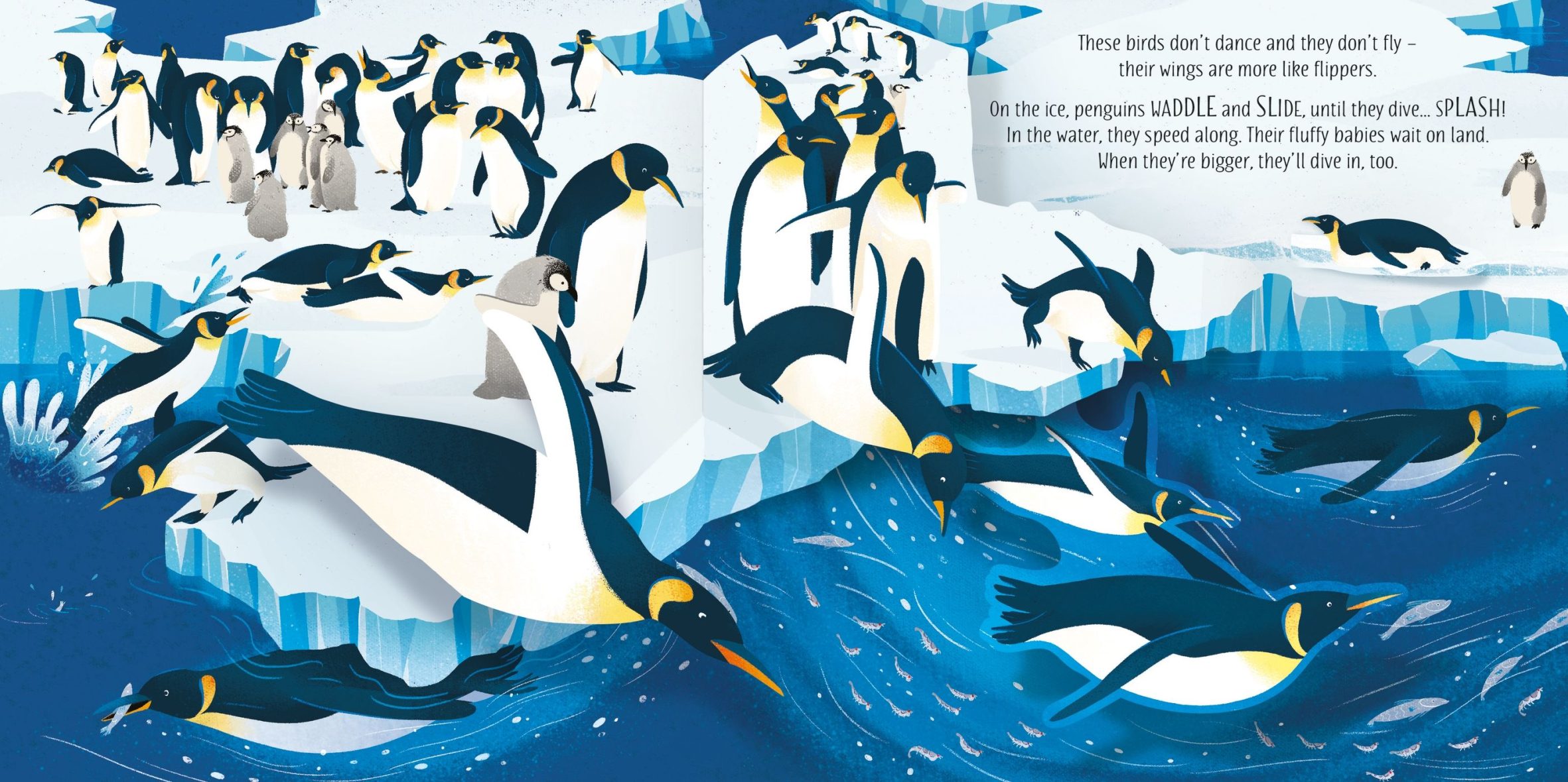 usborne-pop-up-birds-2