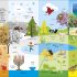 1000 Words: STEM -DK (Vocabulary enrichment) 1000 Words: STEM -DK (Vocabulary enrichment)
