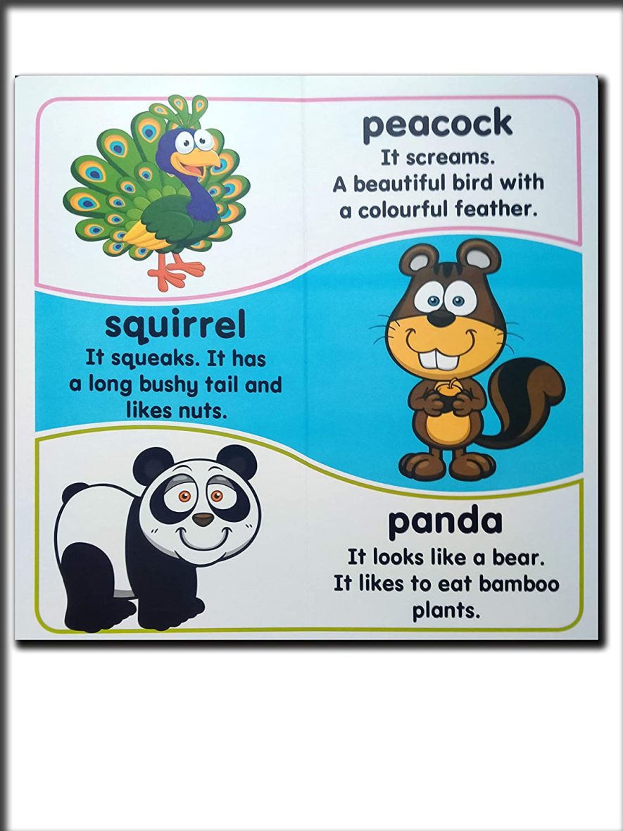 Animals – Essential Facts Included (Board Book)-2