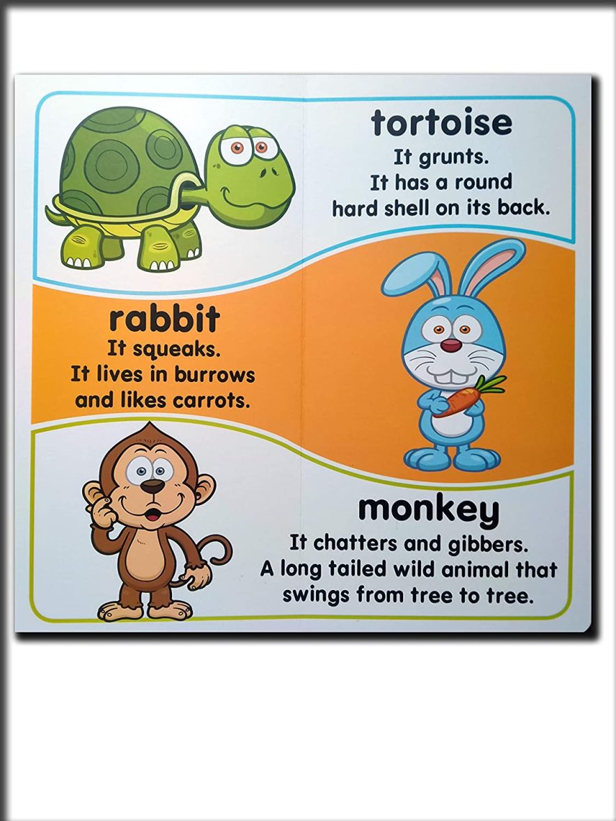 Animals – Essential Facts Included (Board Book)-3