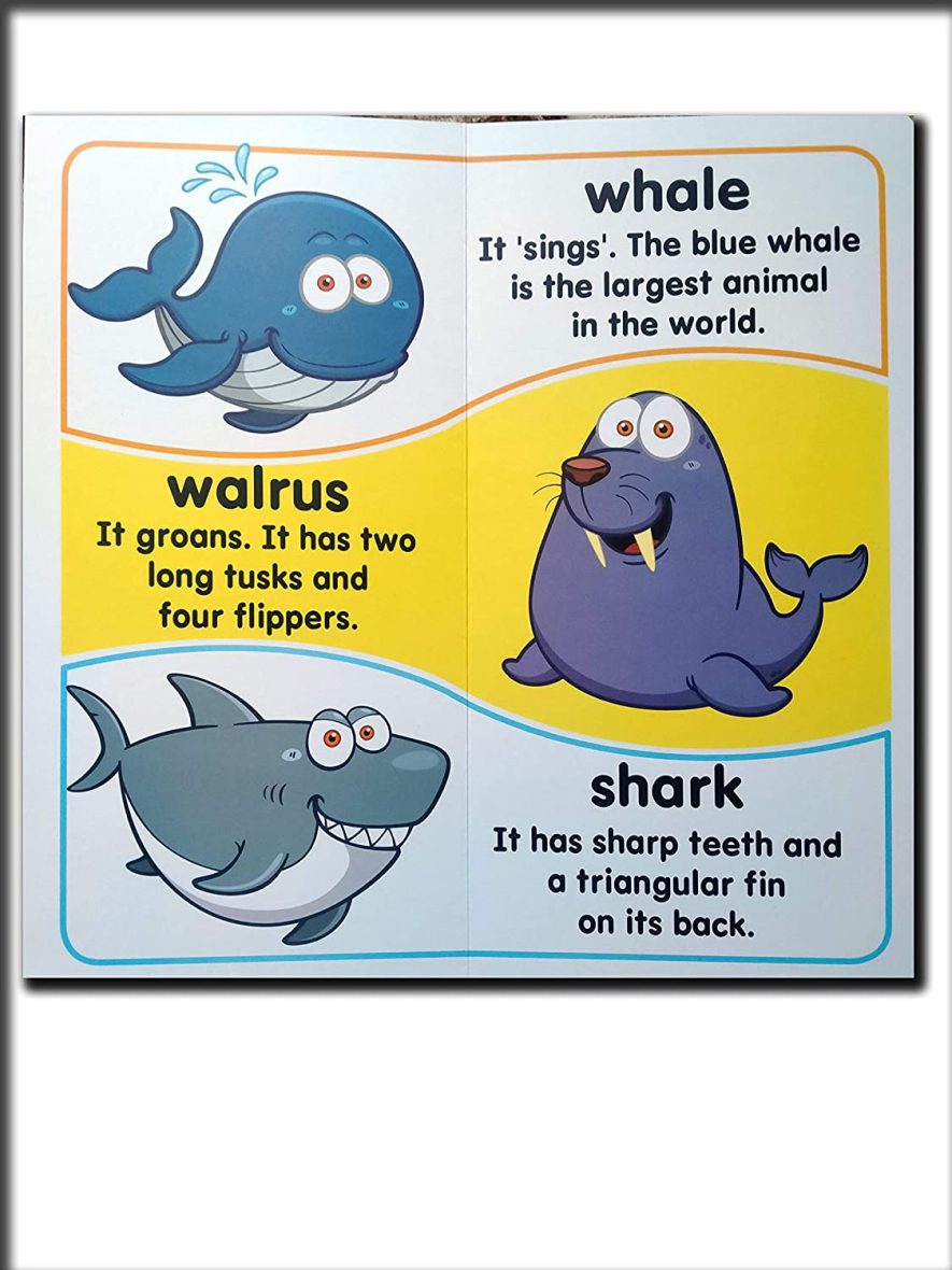 Animals – Essential Facts Included (Board Book)-4