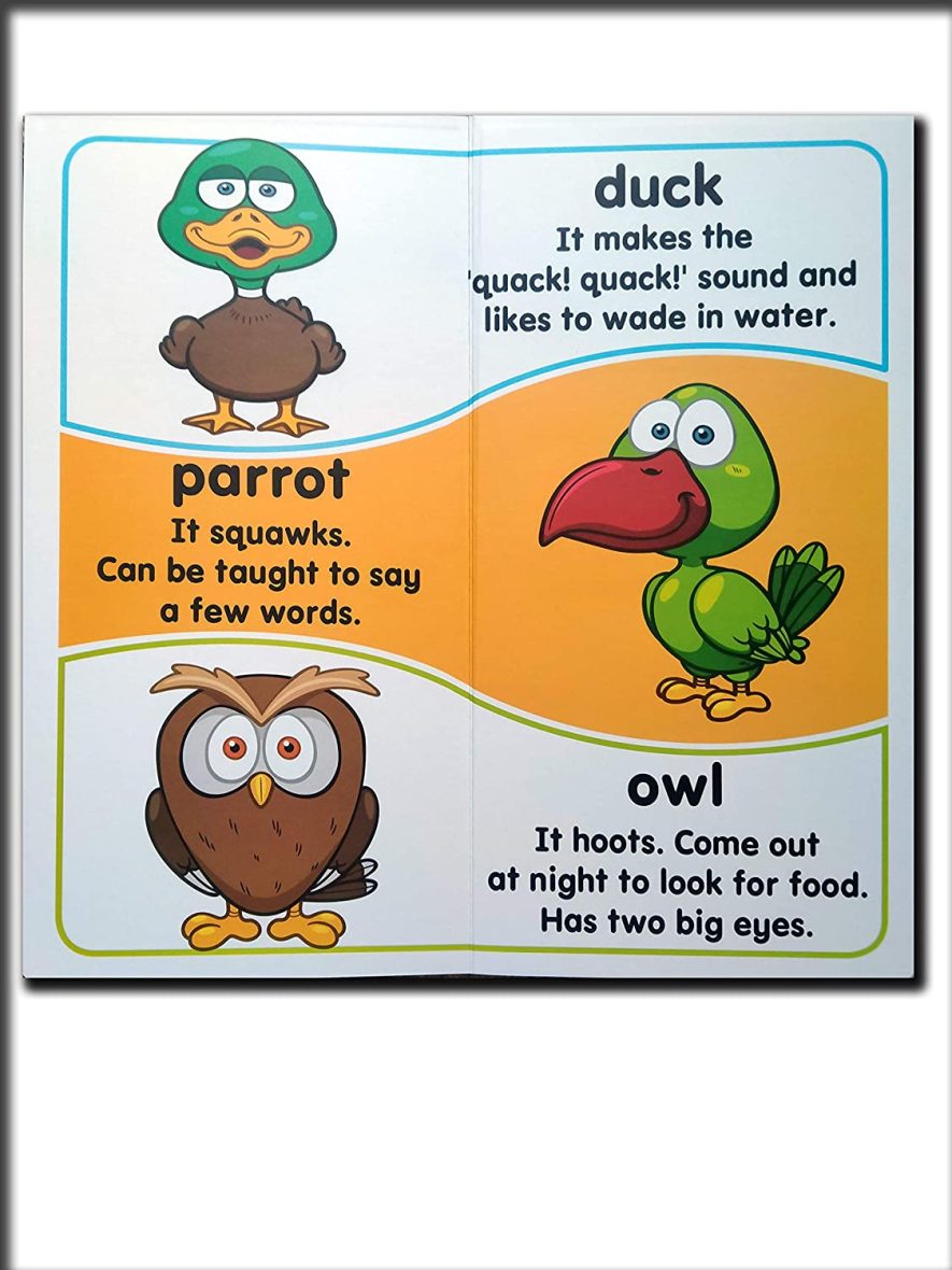 Animals – Essential Facts Included (Board Book)-5