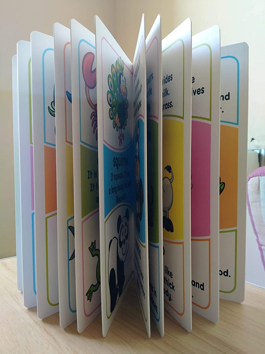 Animals – Essential Facts Included (Board Book)-6