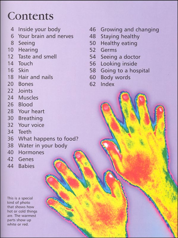 first encyclopedia of human body usborne 1