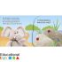 Pop up Peekaboo Baby Animals - DK