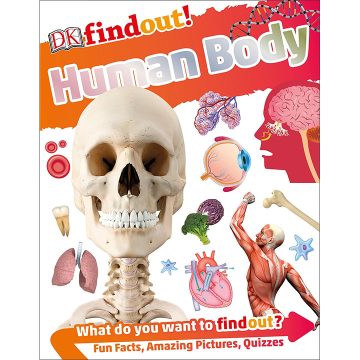 dk-find-out-human-body