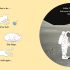 The astronaut's cat - Hardcover