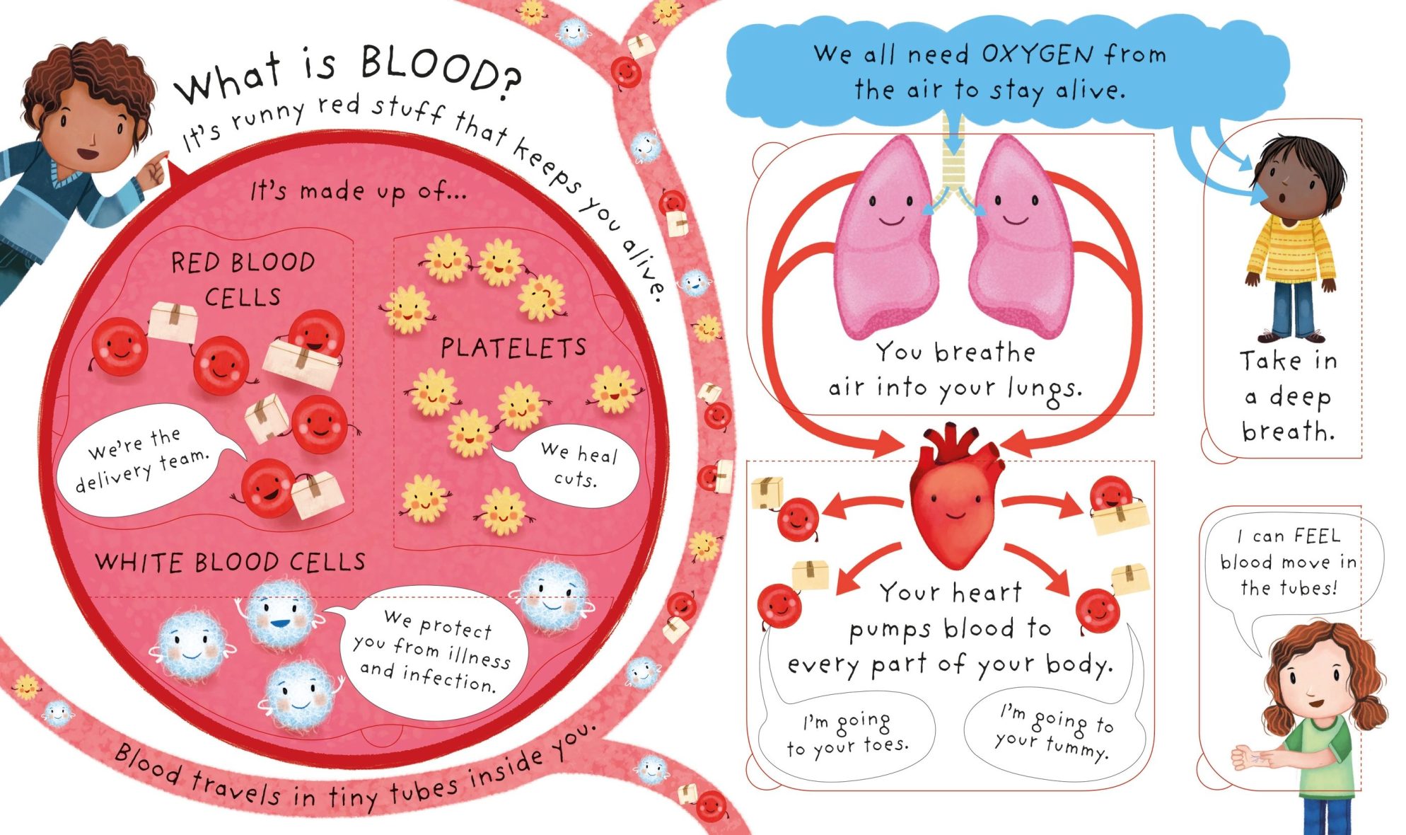 whats inside me usborne 4