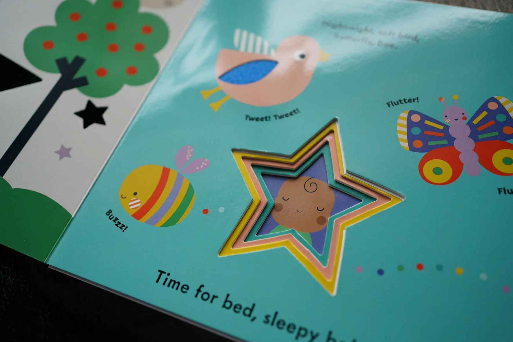 DSC01900_bc745497-ca3b-4fee-ab47-1780ba50db81