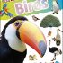 dk find out birds