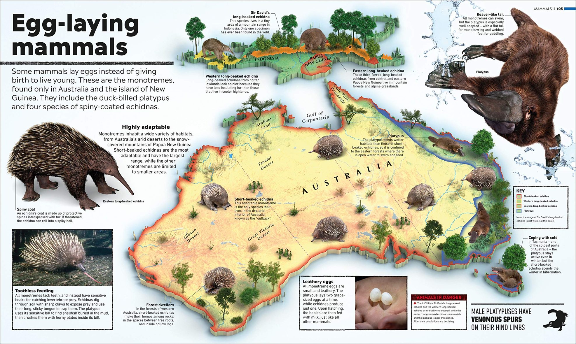 What’s Where on Earth Animal Atlas