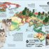 What's Where on Earth? Animal Atlas: The World's Wildlife as You've Never Seen it Before