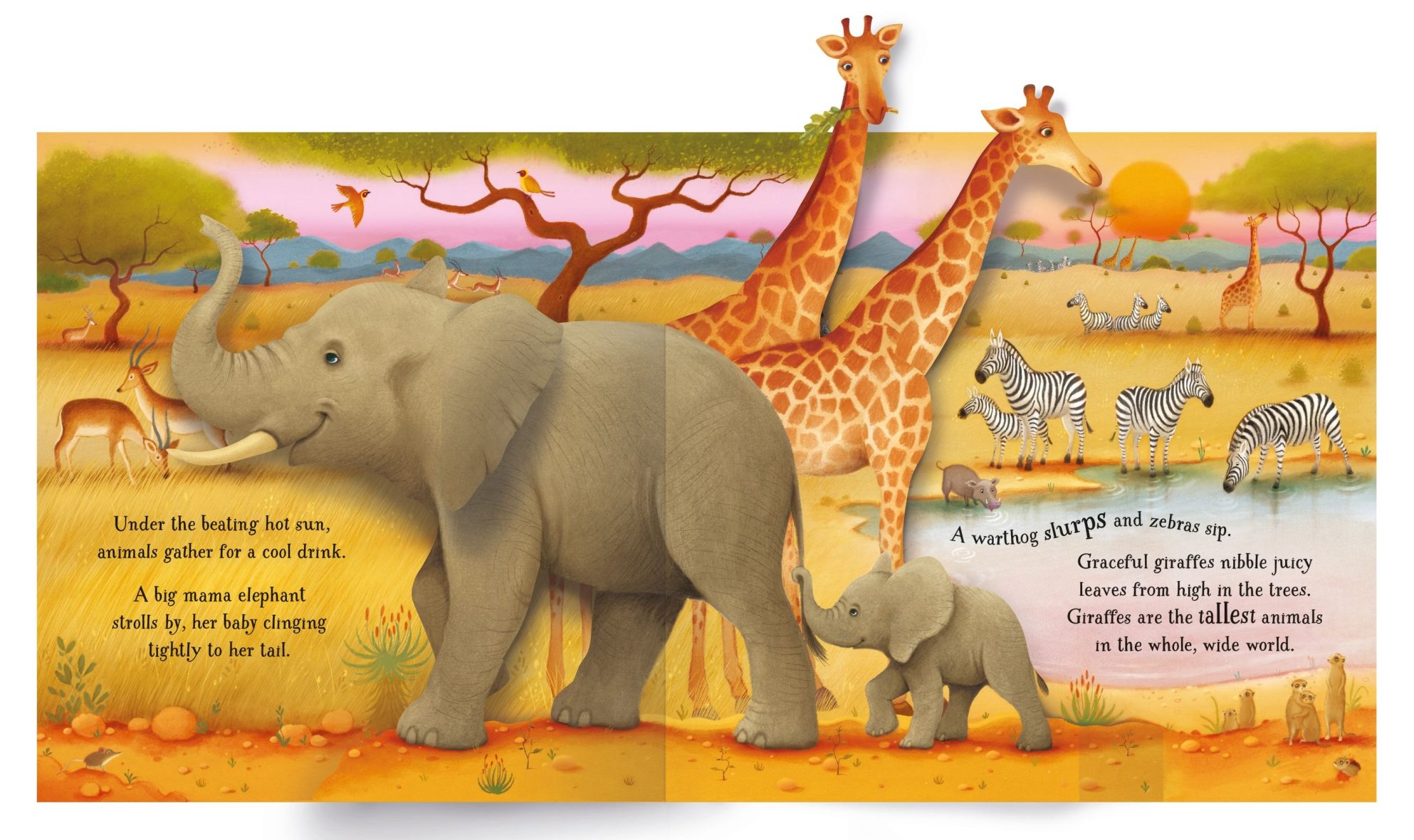usborne-pop-up-animals-1