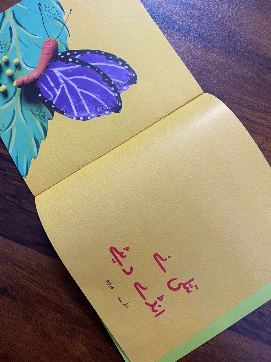 18c92e58-31e5-46ac-b08c-cf0666b5d14e