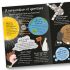 Curious Questions & Answers About Science (Paperback)