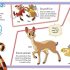 The Amazing Book of Disney Princess
(includes poster n fun Fold out pages)