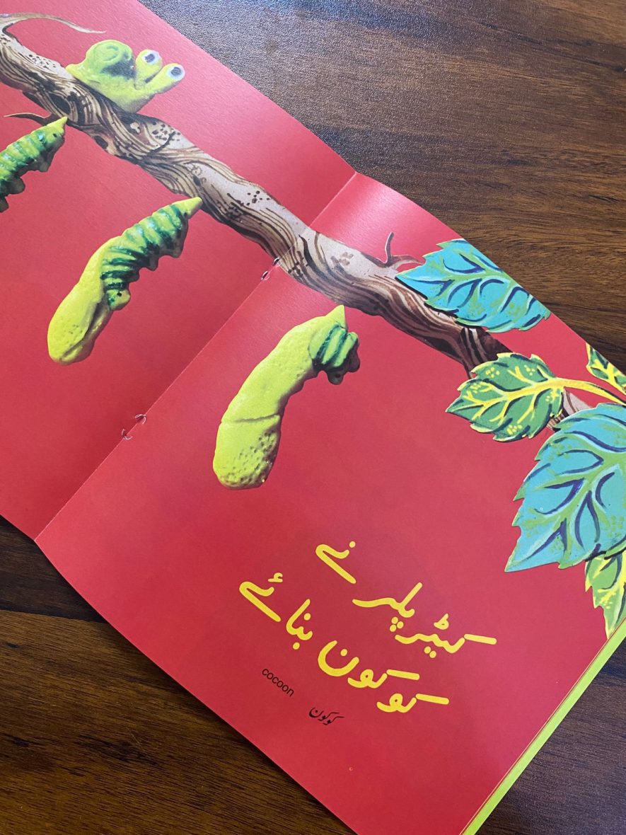 e2291403-a1ef-4ac2-940d-db2bc6f088df