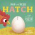 hatch a lift the flap and pop up book