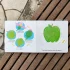 Watch me Grow - A lift the Flap Board Book