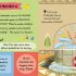 My First Heros: Inventor (slide and see board book)