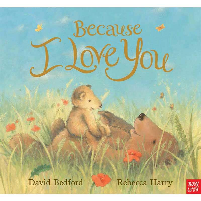 Buy Because I Love You A Bedtime Book Paperback Book