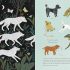 On The Origin of Species (Picture Book)