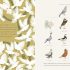 On The Origin of Species (Picture Book)