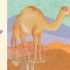 Over on a Desert: A sandy baby animal counting book (Paperback) Over on a Desert: A sandy baby animal counting book (Paperback)