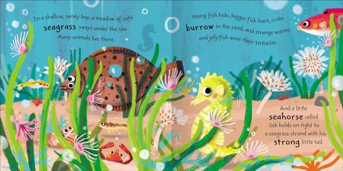 Seb Book Buy Seb the Seahorse - Story Book (Paperback) Book in Pakistan