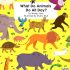 What Do Animals Do All Day?