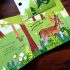 Cover Damaged - Flip Flap Find- In the Woods! Lift the Flap and Search and Find Book