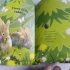 Cover Damaged - Flip Flap Find- In the Woods! Lift the Flap and Search and Find Book