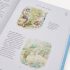 THE COMPLETE ADVENTURES OF PETER RABBIT