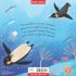 Pippi the Penguin (Paperback)