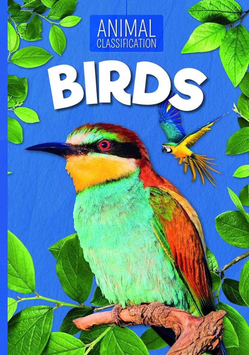 Birds – Animal Classification (Paperback)