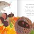 Woodland Tales: Silver the Shrew (Paperback)