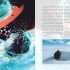 Wonders of the Living World (Hardcover)