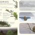 Frozen Planet II - Journey to the Frozen Frontiers: Explore the Wonders of Our Icy Planet with Spine-Tingling Tales from BBC Earth