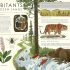 Frozen Planet II - Journey to the Frozen Frontiers: Explore the Wonders of Our Icy Planet with Spine-Tingling Tales from BBC Earth