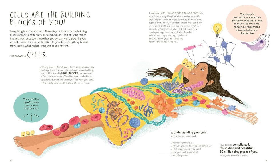 Buy Thirty Trillion Cells: How Your Body Really Works - Hardcover Book ...