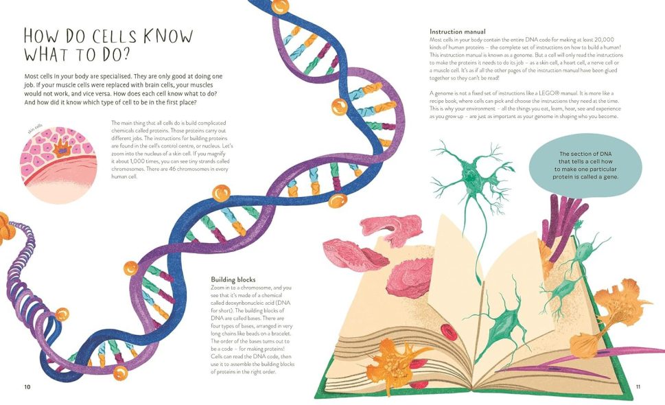 Buy Thirty Trillion Cells: How Your Body Really Works - Hardcover Book ...