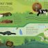 Humongous Fungus - The weird and Wonderful Kingdom of Fungi