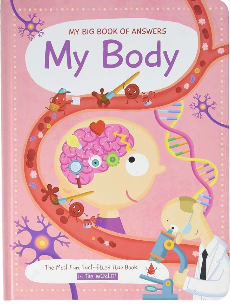 My Big Book of Answers: My Body – Lift the flap