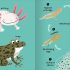 Big Words for Little Experts: Animals Big Words for Little Experts: Animals