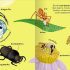 Big Words for Little Experts: Animals Big Words for Little Experts: Animals