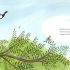 Abigail and the Restless Raindrop- Paperback (Picture Storybook) Abigail and the Restless Raindrop- Paperback (Picture Storybook)