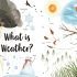 My First Book of Weather - Hardcover My First Book of Weather - Hardcover