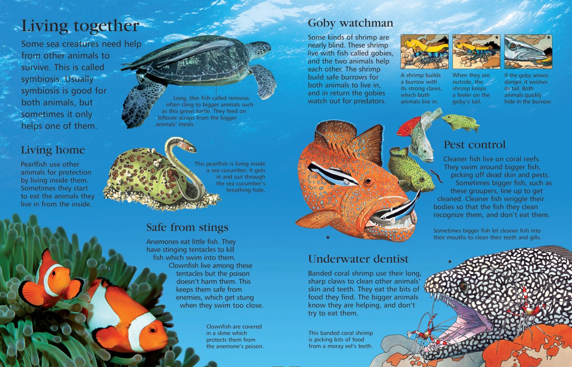 usborne-first-encyclopedia-of-seas-and-oceans-3