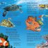 Usborne First Encyclopedia of Seas and Oceans (Hardcover)